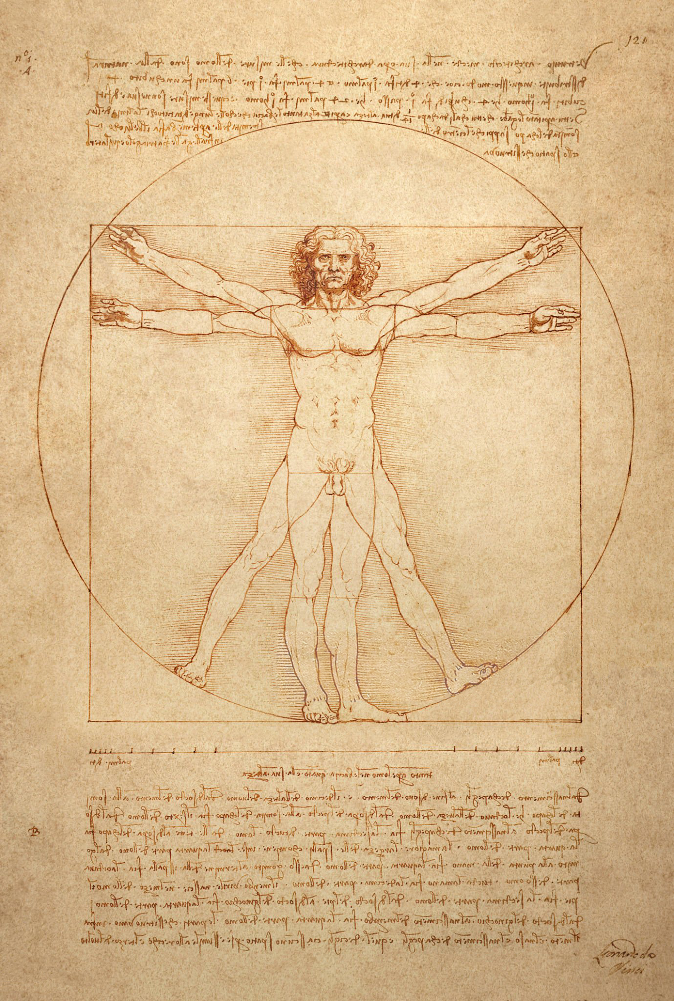 Da Vinci +